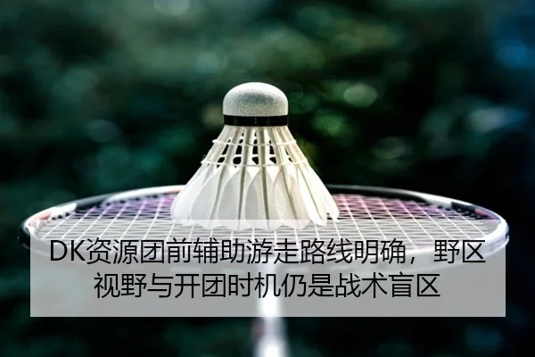DK资源团前辅助游走路线明确，野区视野与开团时机仍是战术盲区